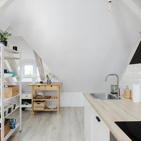 Apartment Scandinavian Loft