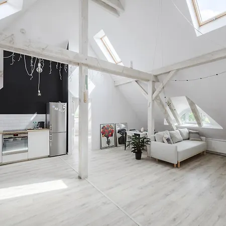 Apartment Scandinavian Loft Poznan