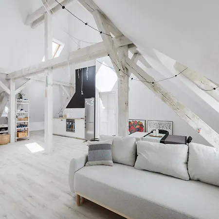 Apartment Scandinavian Loft Poznan