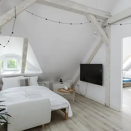 Apartment Scandinavian Loft