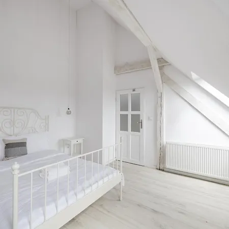 Apartment Scandinavian Loft
