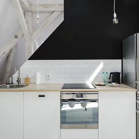 Apartment Scandinavian Loft Poznan
