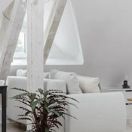 Apartment Scandinavian Loft *