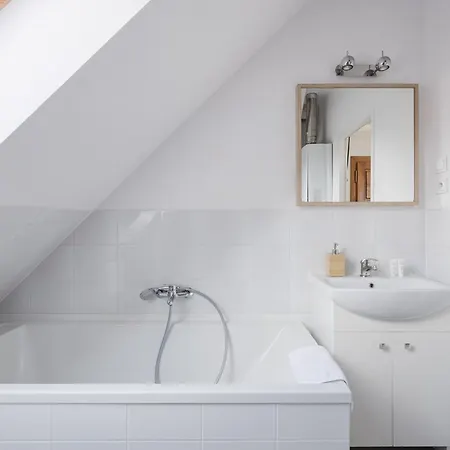 Scandinavian Loft Apartment Poznan