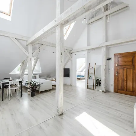 Scandinavian Loft Apartment