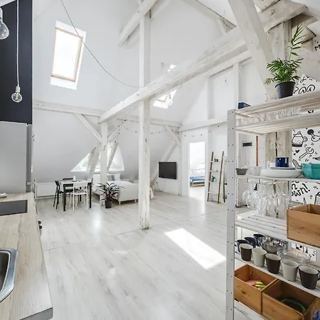 Apartment Scandinavian Loft