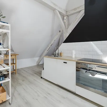 Scandinavian Loft Poznan